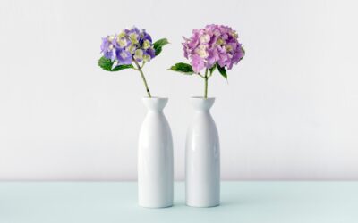Best choice for you Vase